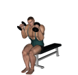 Shoulder Press - Seated Inwards Dumbbell Narrow